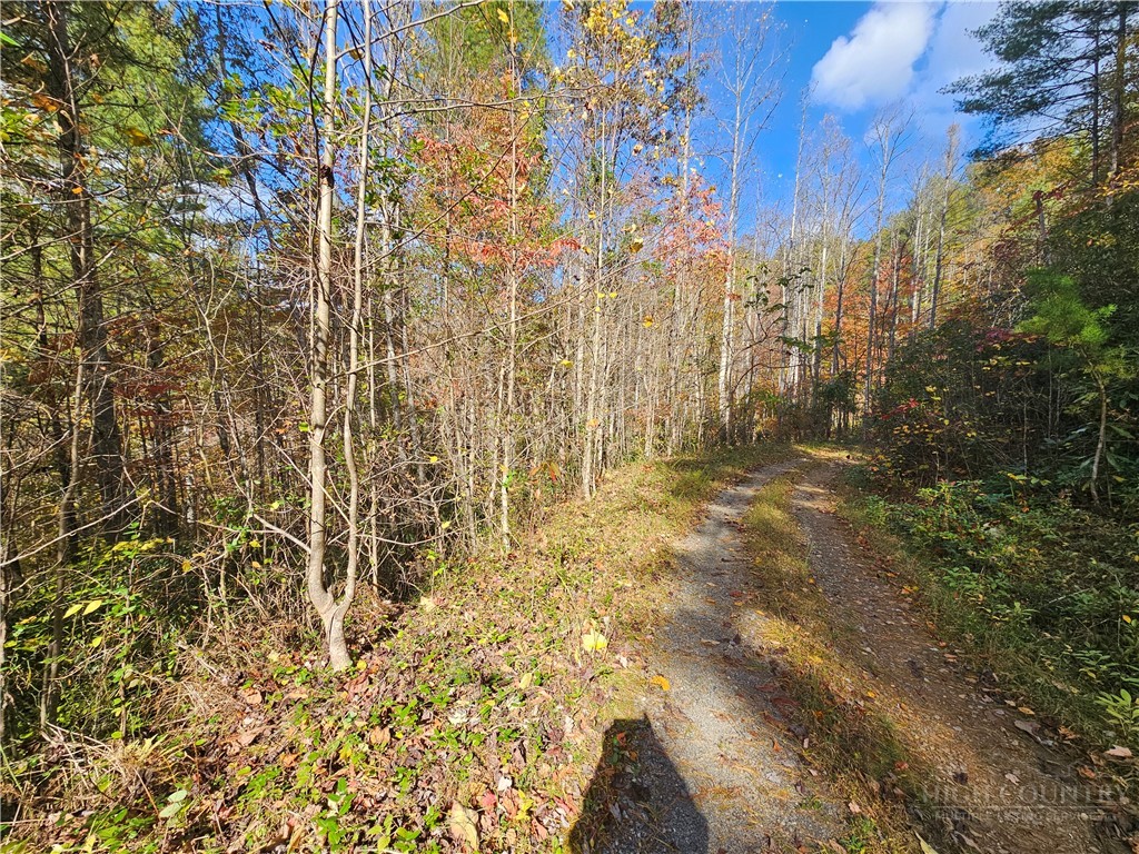 Lot 63 Bent Bow Drive Property Photo 9