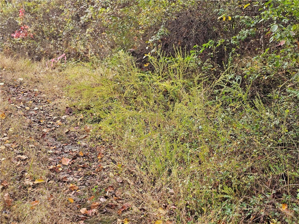 Lot 63 Bent Bow Drive Property Photo 10