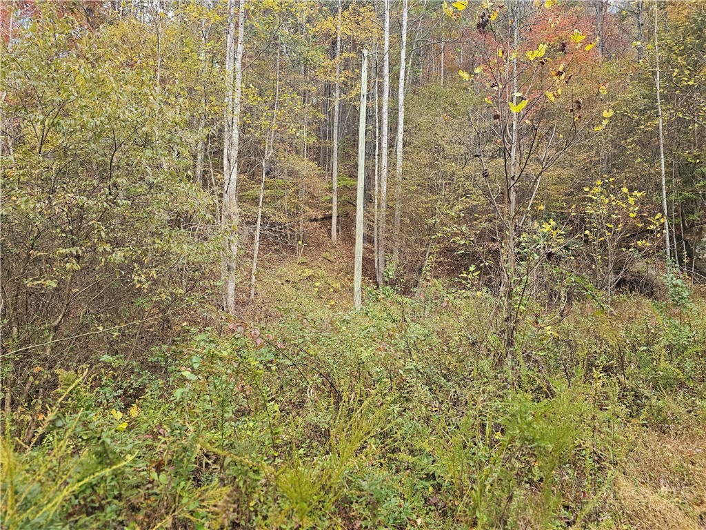 Lot 63 Bent Bow Drive Property Photo 12