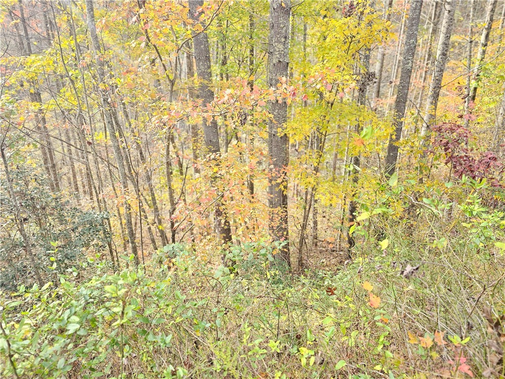 Lot 63 Bent Bow Drive Property Photo 13