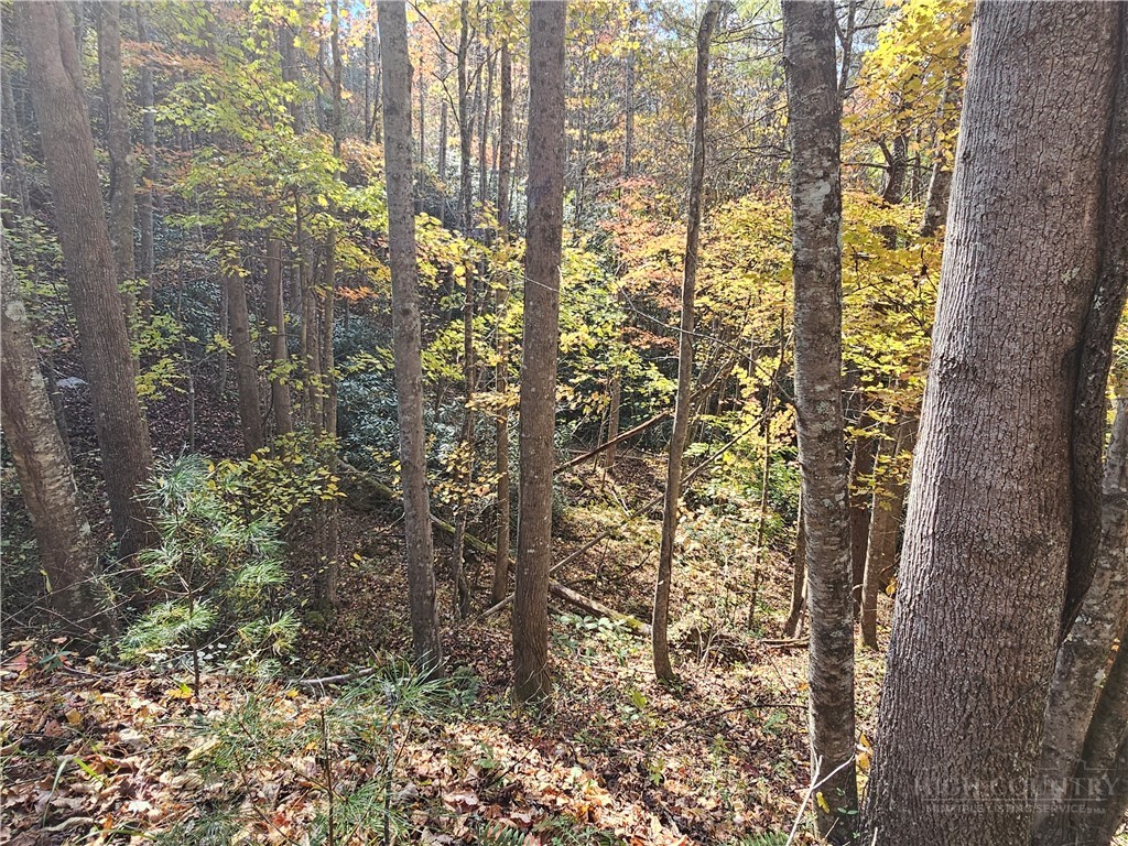 Lot 63 Bent Bow Drive Property Photo 14