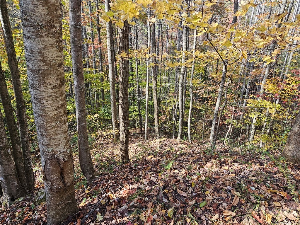 Lot 63 Bent Bow Drive Property Photo 15