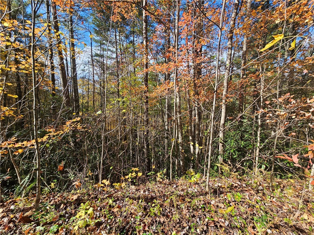 Lot 63 Bent Bow Drive Property Photo 16