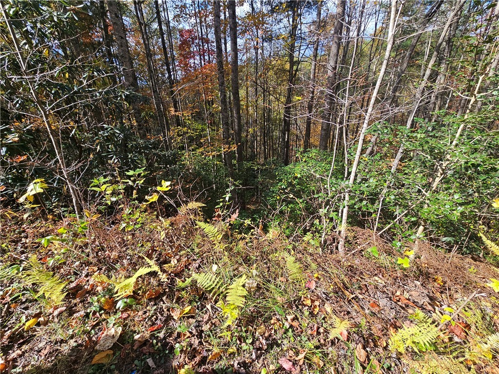 Lot 63 Bent Bow Drive Property Photo 17