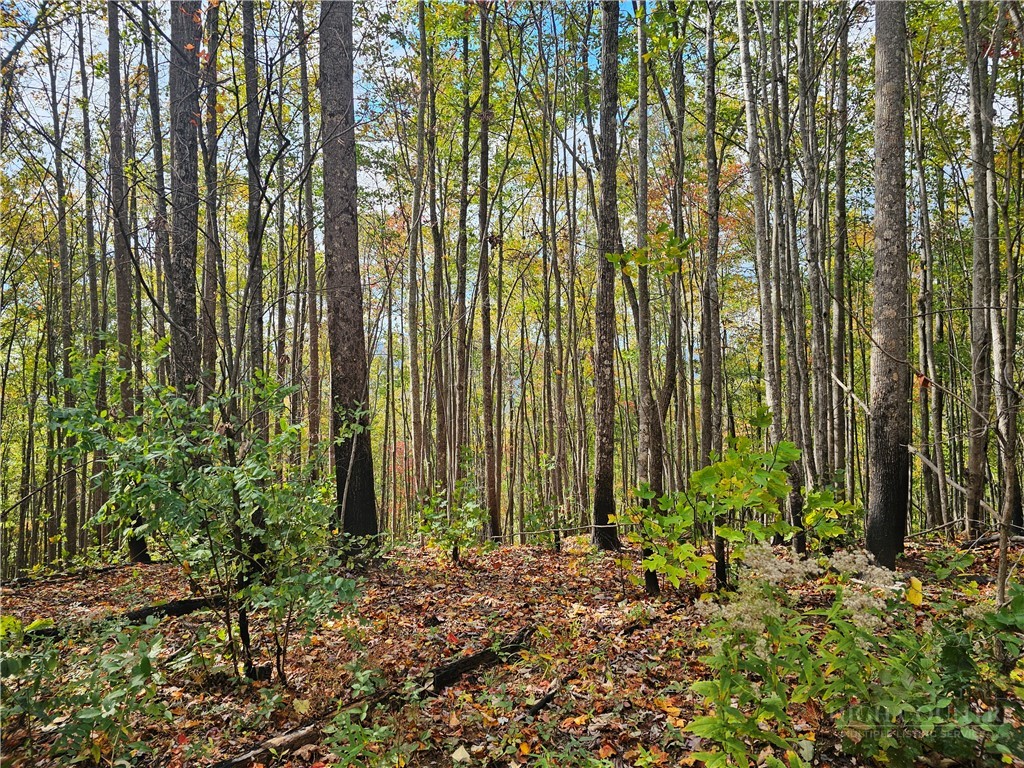 Lot 63 Bent Bow Drive Property Photo 19