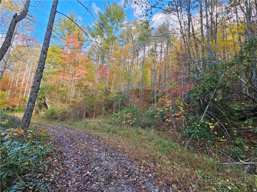 Lot 63 Bent Bow Drive Property Photo 20