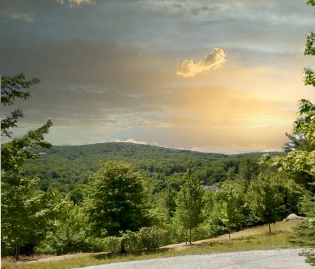 106 Upper Grouse Ridge Road Property Photo 4