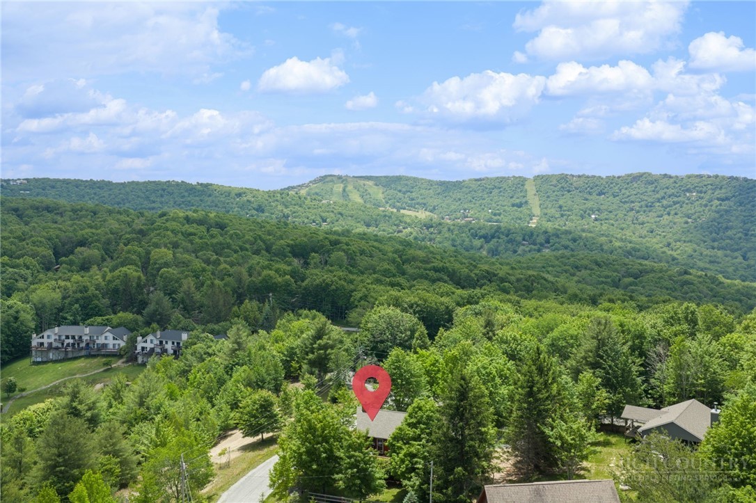 106 Upper Grouse Ridge Road Property Photo 6
