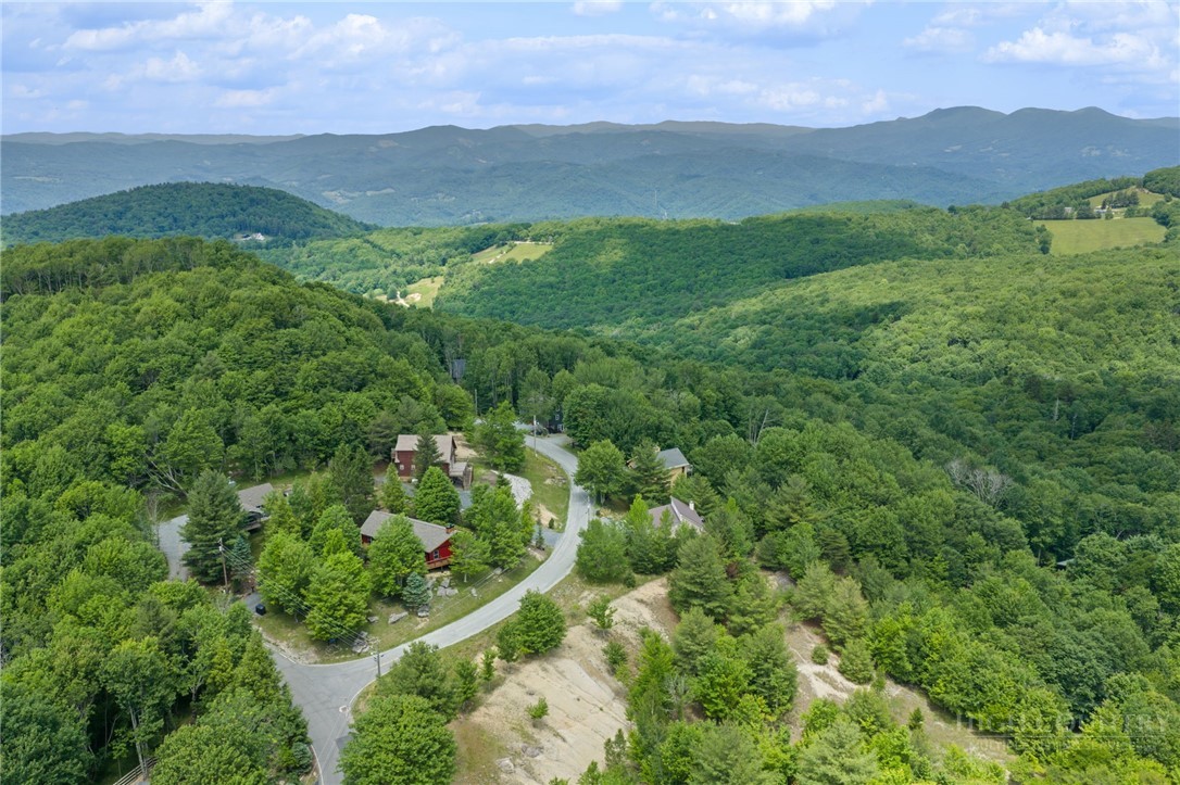 106 Upper Grouse Ridge Road Property Photo 27