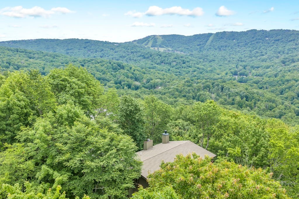 140 Lower Grouse Ridge Road Property Photo 42