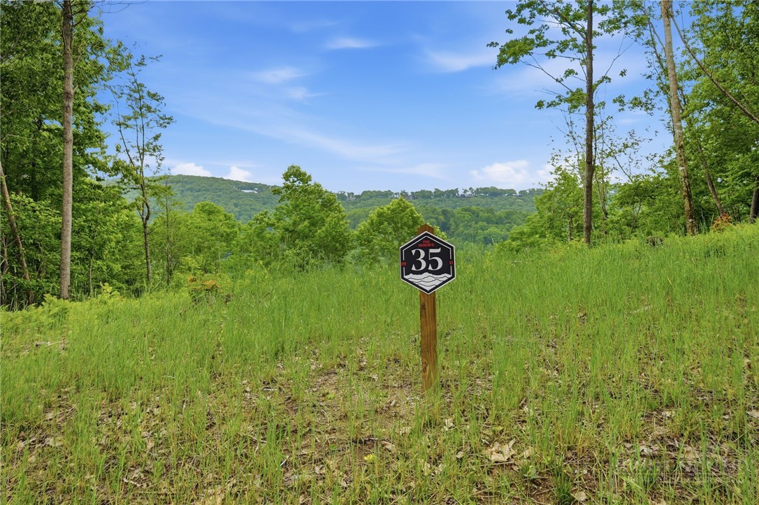 Lot 35 Little Tree Lane Property Photo 1
