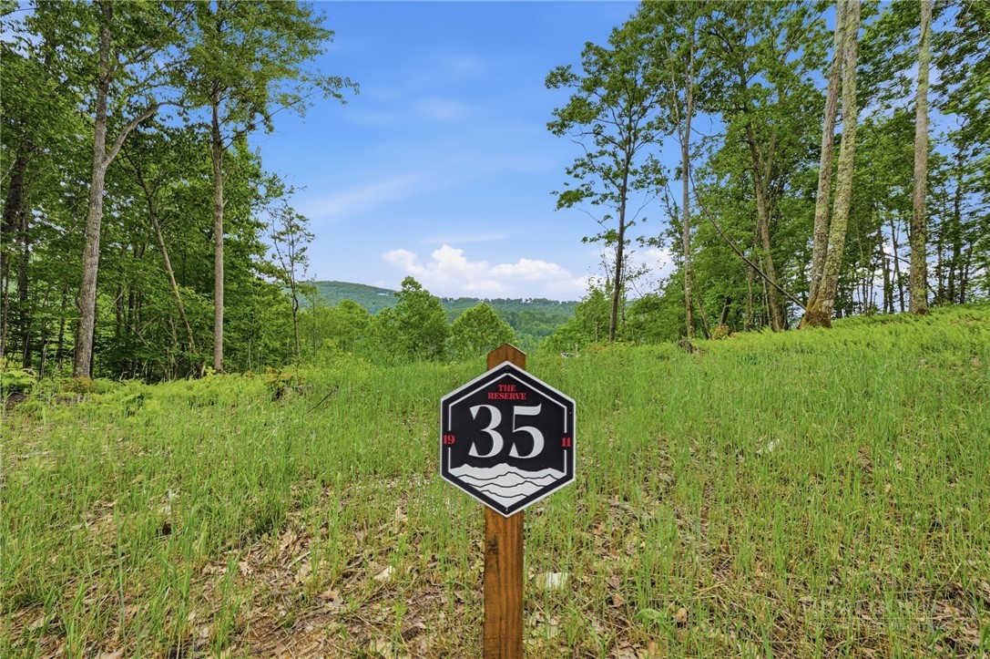 Lot 35 Little Tree Lane Property Photo 2