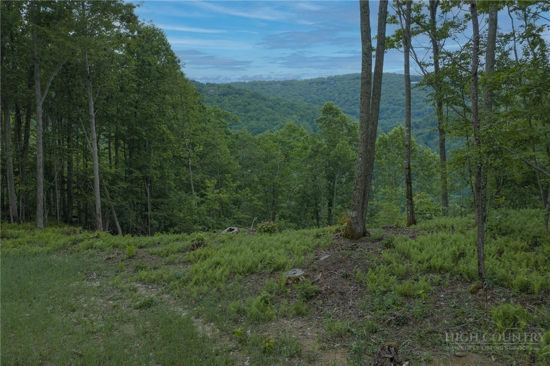 Lot 35 Little Tree Lane Property Photo 4