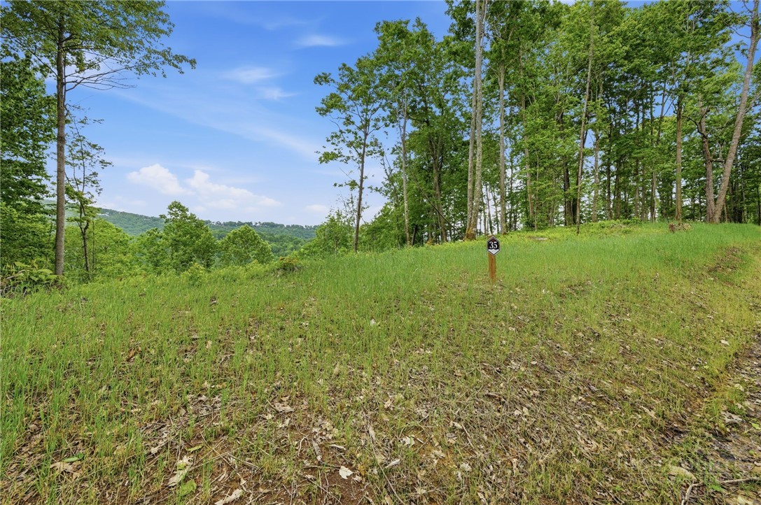 Lot 35 Little Tree Lane Property Photo 8