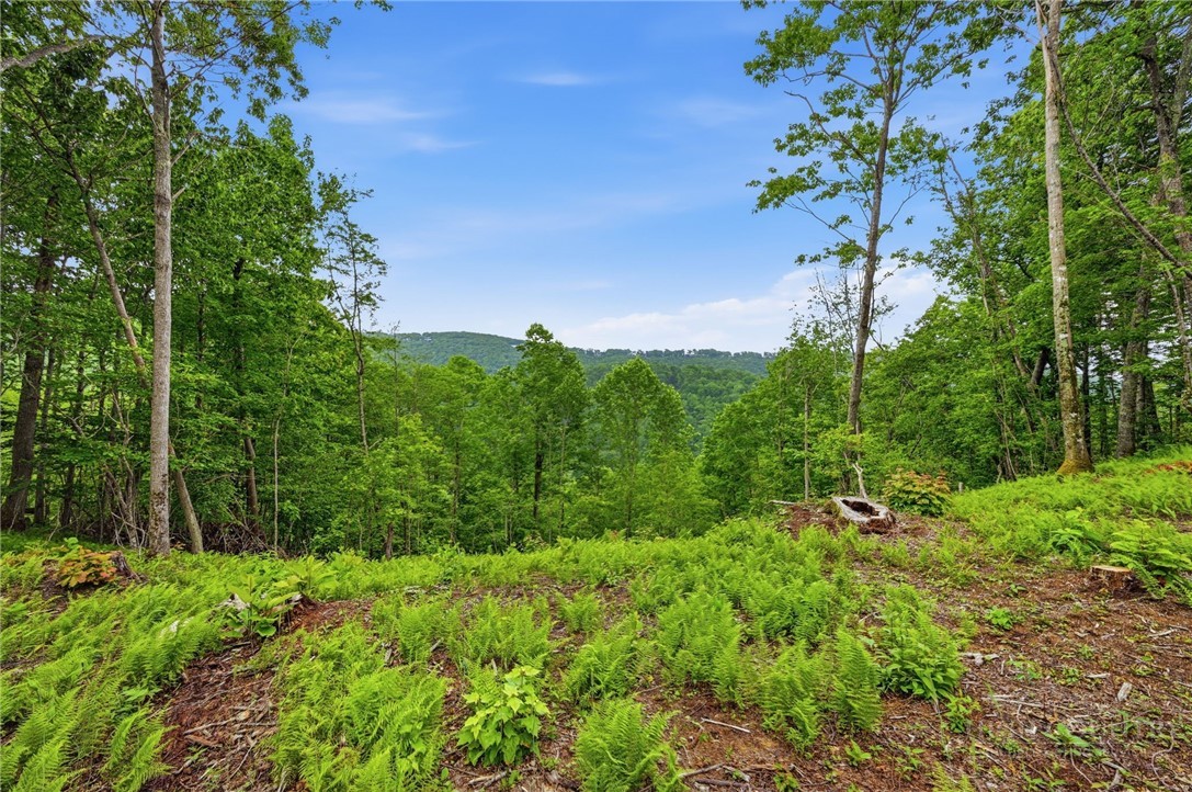 Lot 35 Little Tree Lane Property Photo 9
