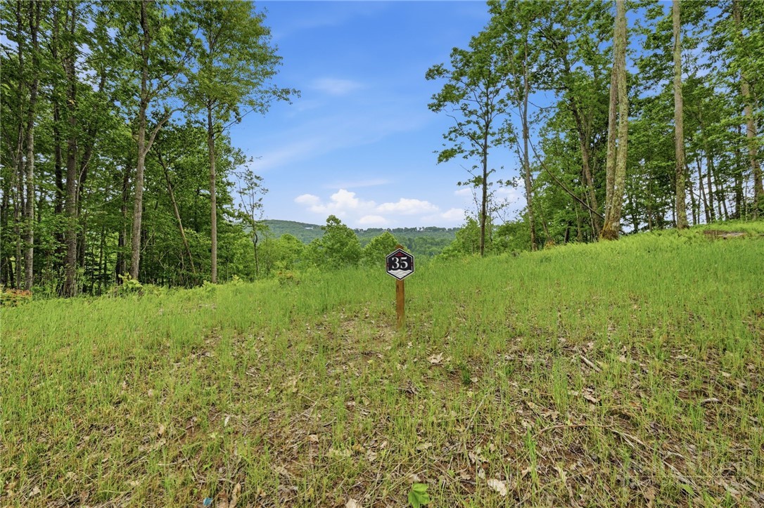 Lot 35 Little Tree Lane Property Photo 10