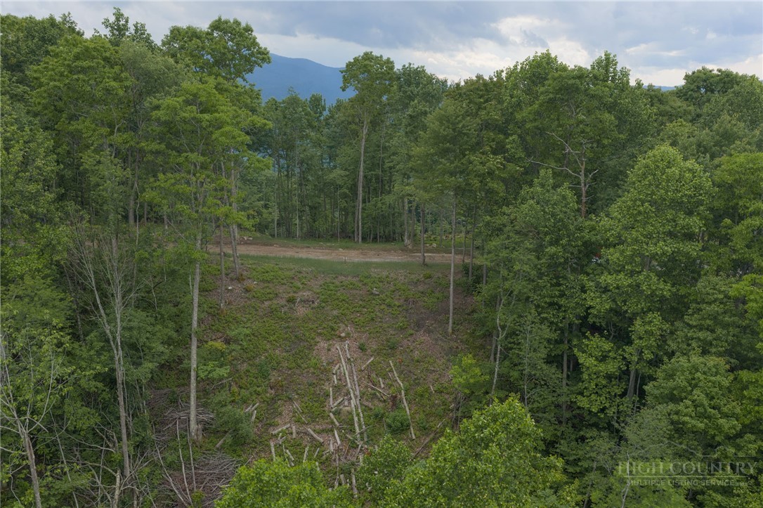 Lot 35 Little Tree Lane Property Photo 12
