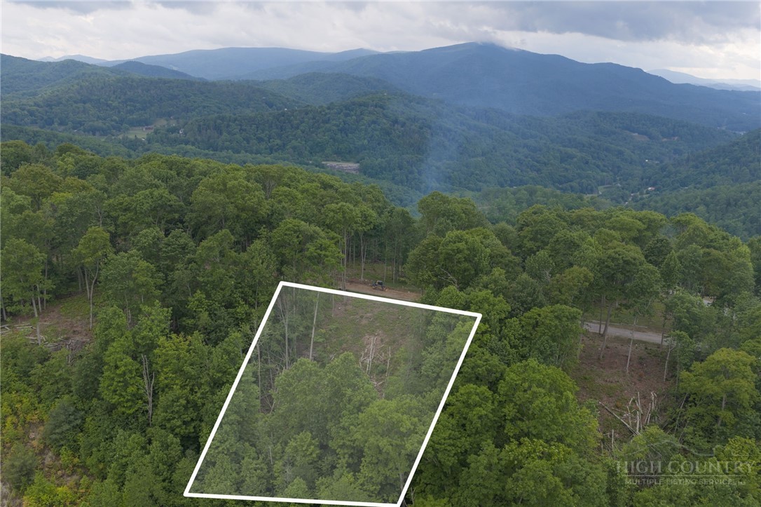 Lot 35 Little Tree Lane Property Photo 13