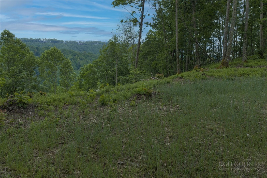 Lot 35 Little Tree Lane Property Photo 15