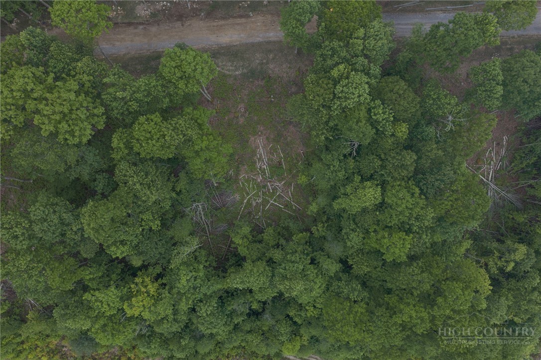 Lot 35 Little Tree Lane Property Photo 16