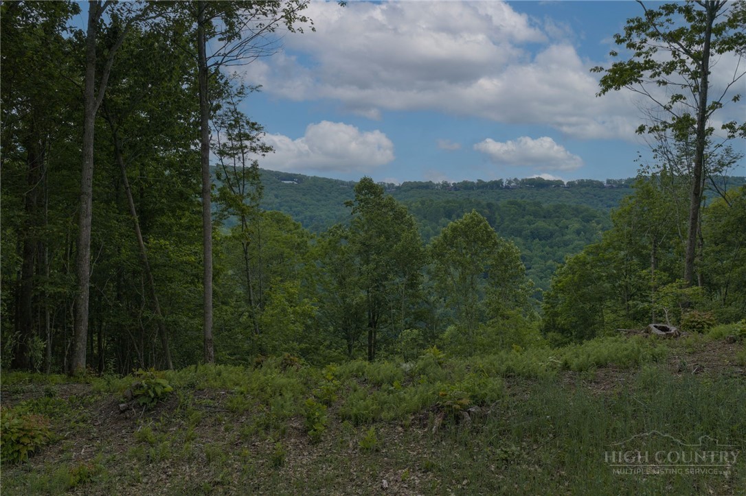 Lot 35 Little Tree Lane Property Photo 17