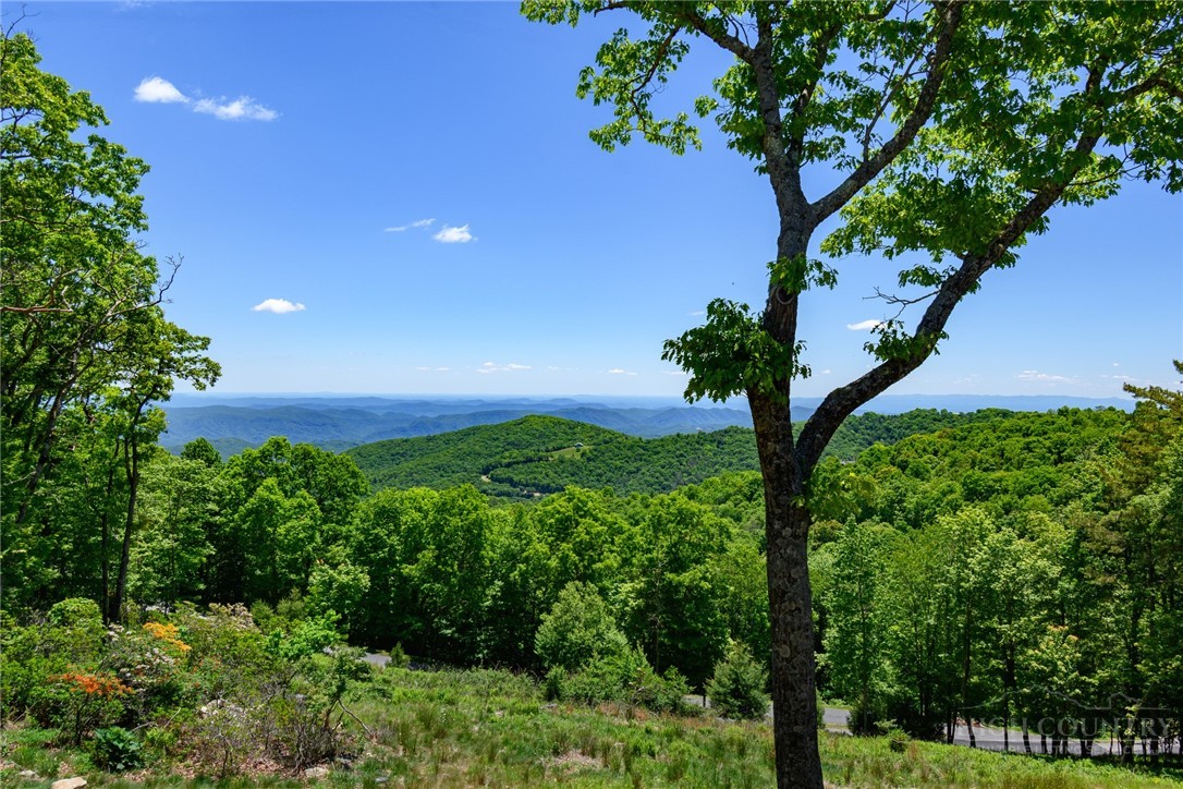 597 Blazing Star Trail Property Photo 48
