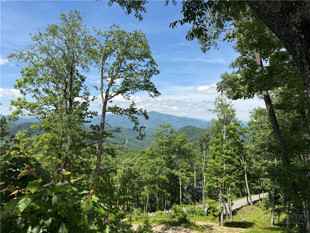 1040 Eagles Nest Trail Property Photo 1