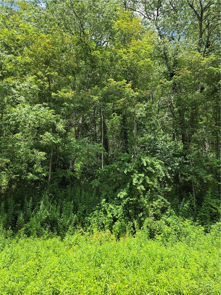 Lot 1 Armrey Drive Property Photo 4