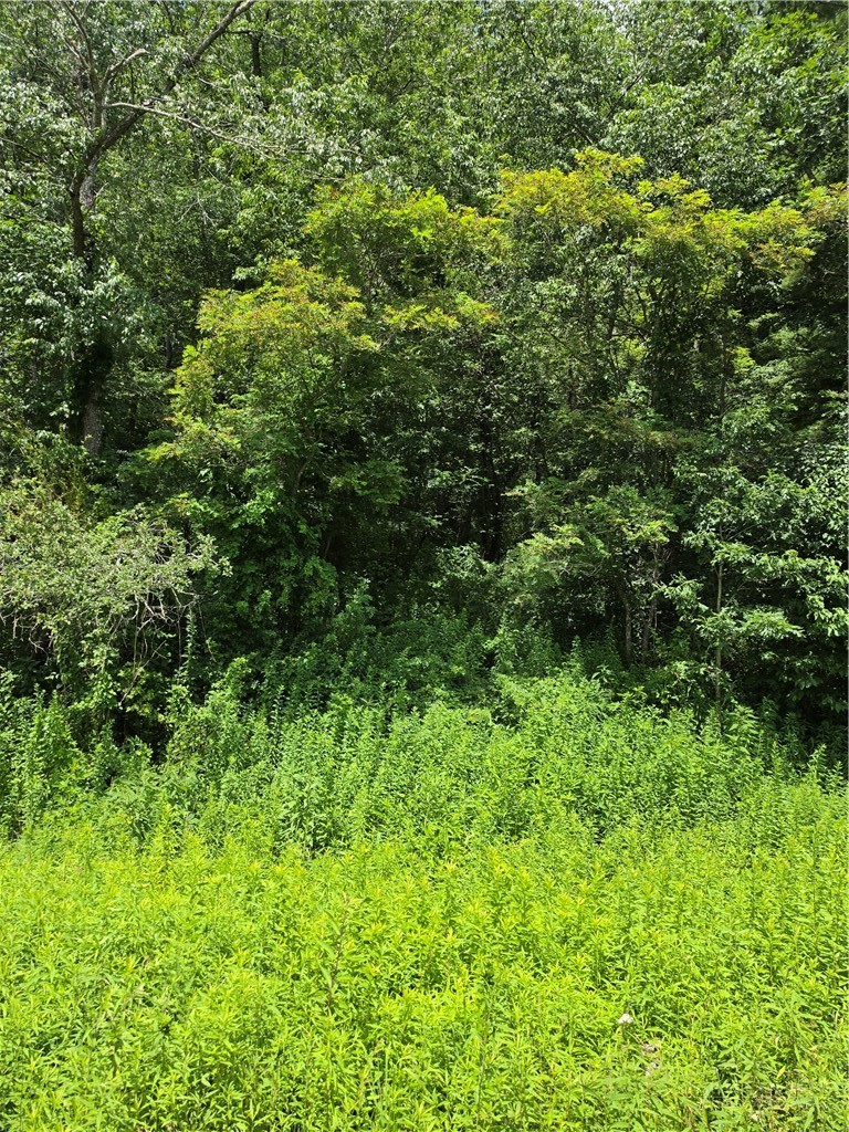 Lot 2 Armrey Drive Property Photo 4
