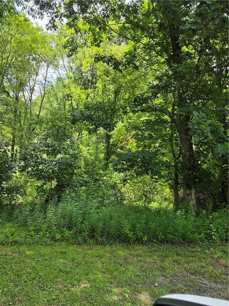 Lot 4 Armrey Drive Property Photo 4