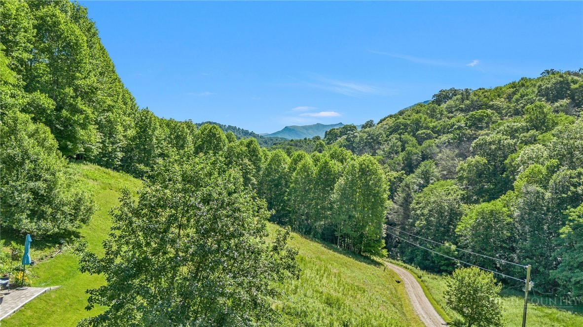803 W Brushy Fork Road Property Photo 44