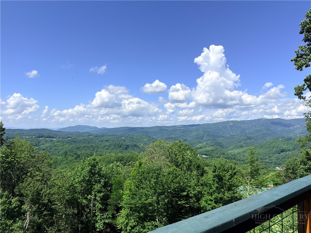 402 Turkey Knob Lane Property Photo 6