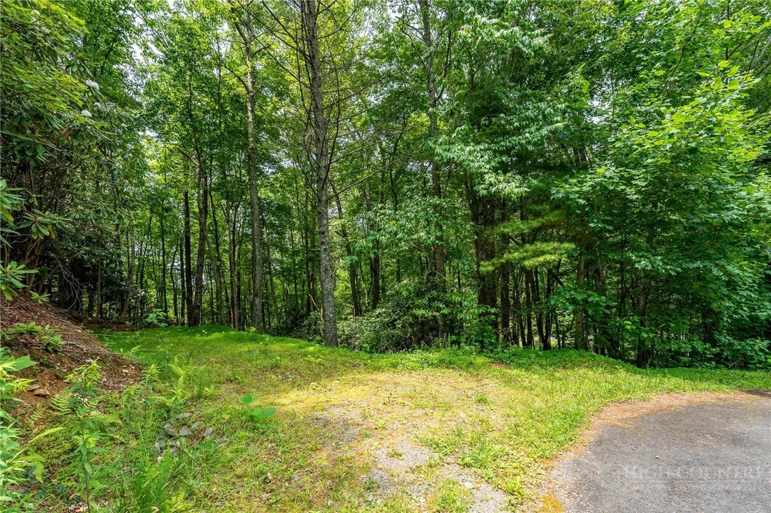 Lot 12 Callalantee Drive Property Photo 2