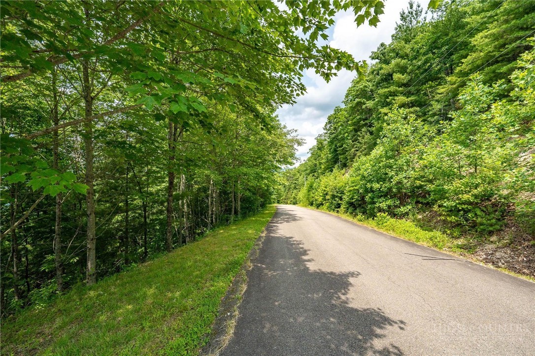 Lot 12 Callalantee Drive Property Photo 21
