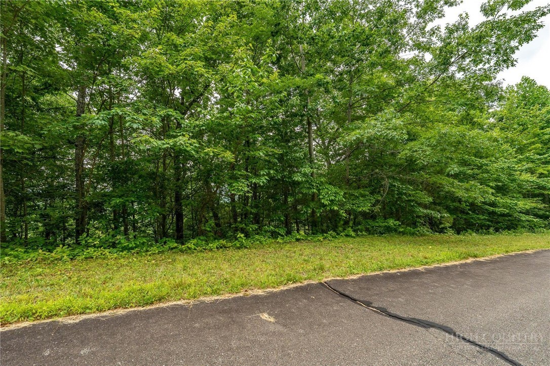 Lot 12 Callalantee Drive Property Photo 22