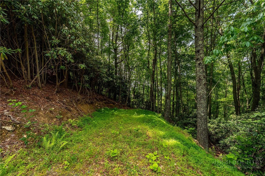 Lot 12 Callalantee Drive Property Photo 27