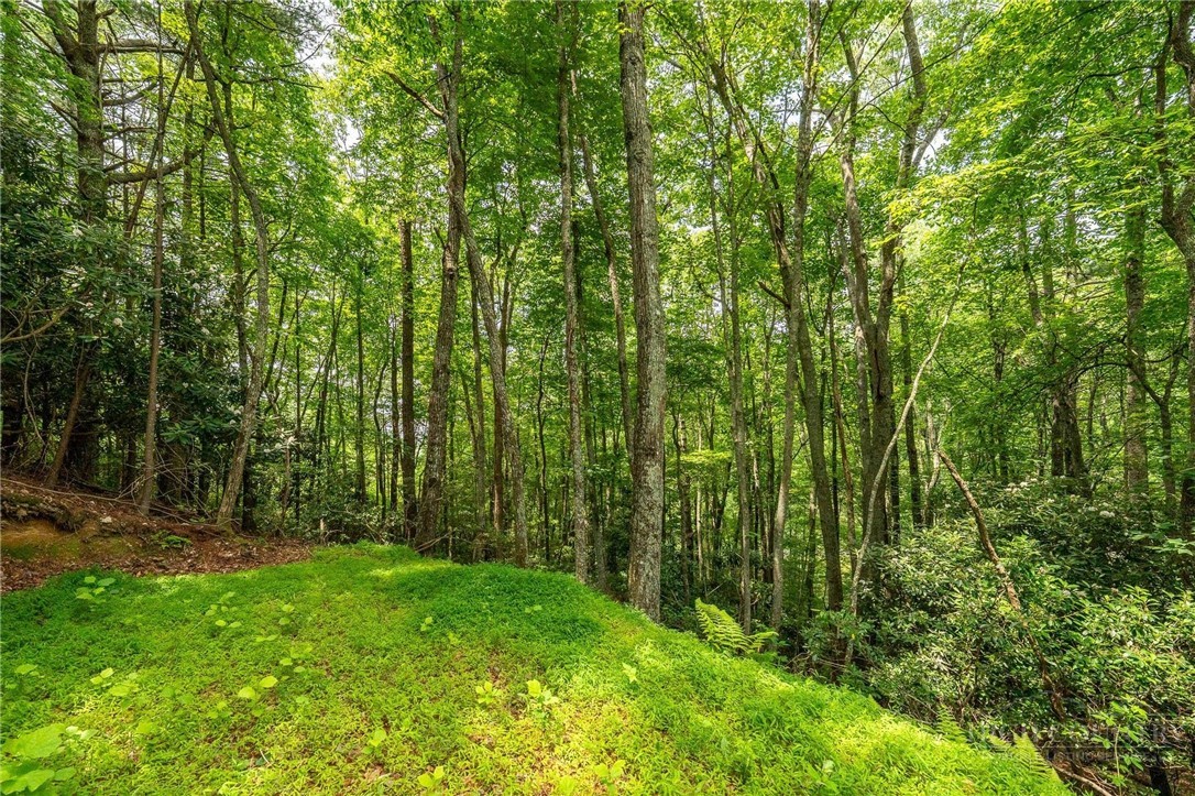 Lot 12 Callalantee Drive Property Photo 28