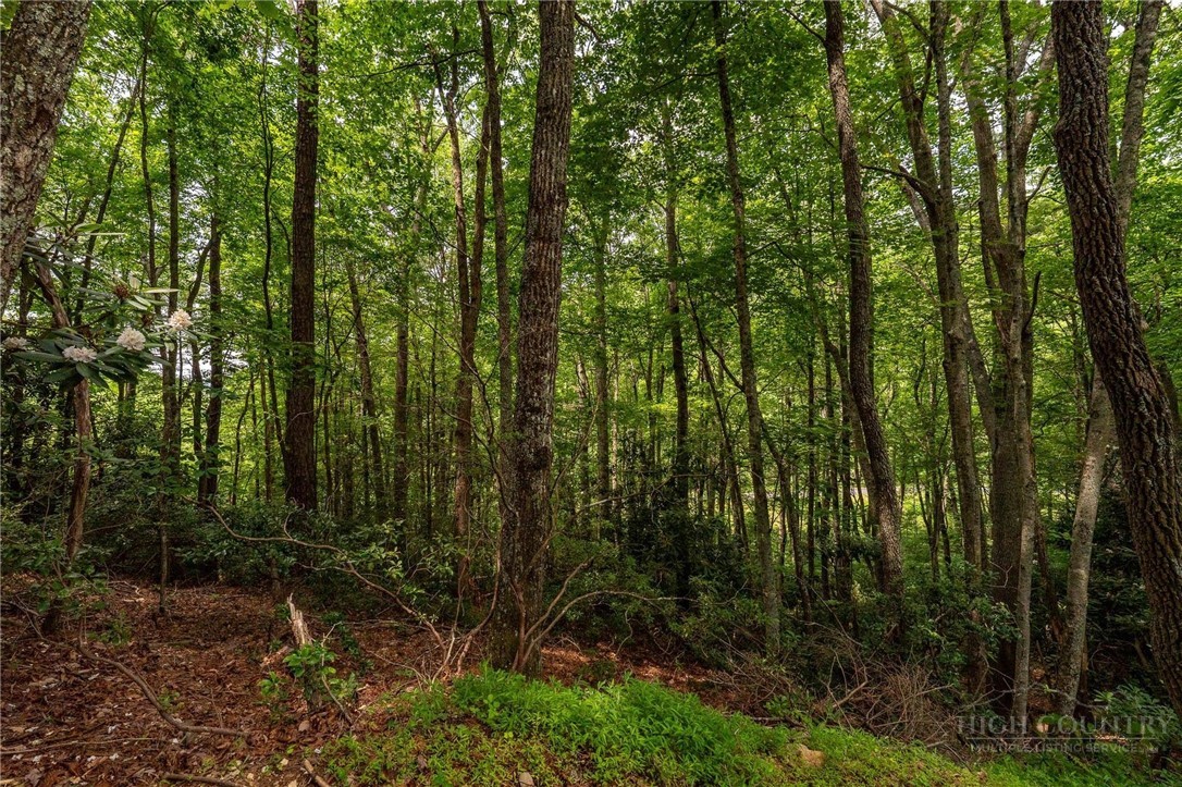 Lot 12 Callalantee Drive Property Photo 29