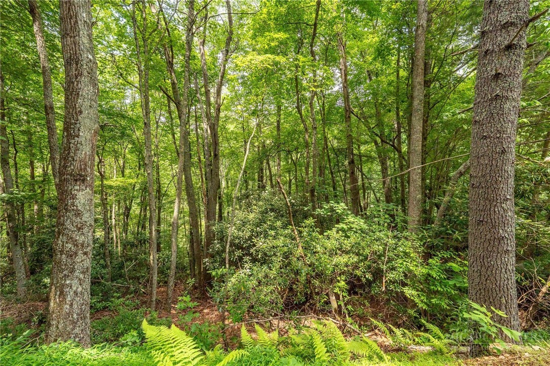 Lot 12 Callalantee Drive Property Photo 31