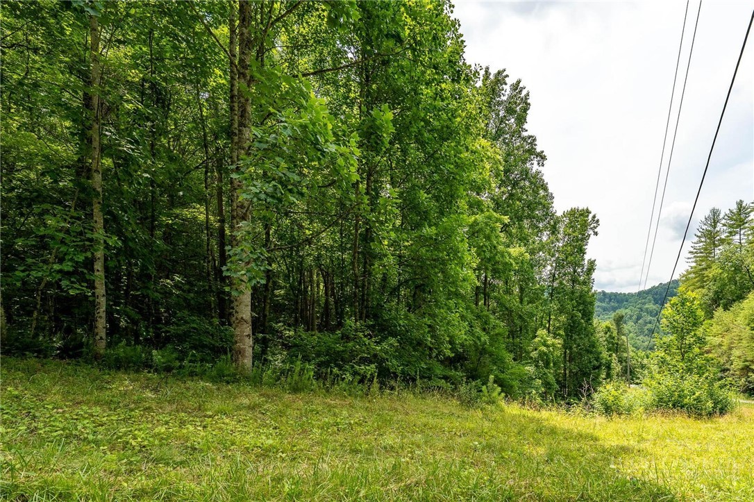 Lot 12 Callalantee Drive Property Photo 32