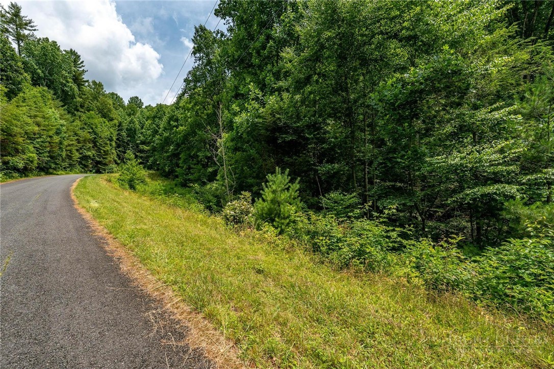 Lot 12 Callalantee Drive Property Photo 33