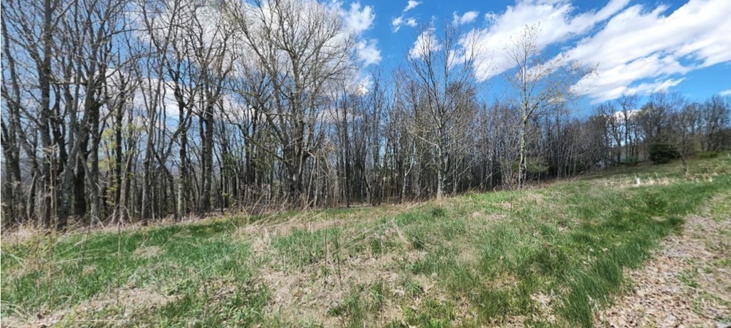 Lot 4 Crestwood Circle Property Photo 1