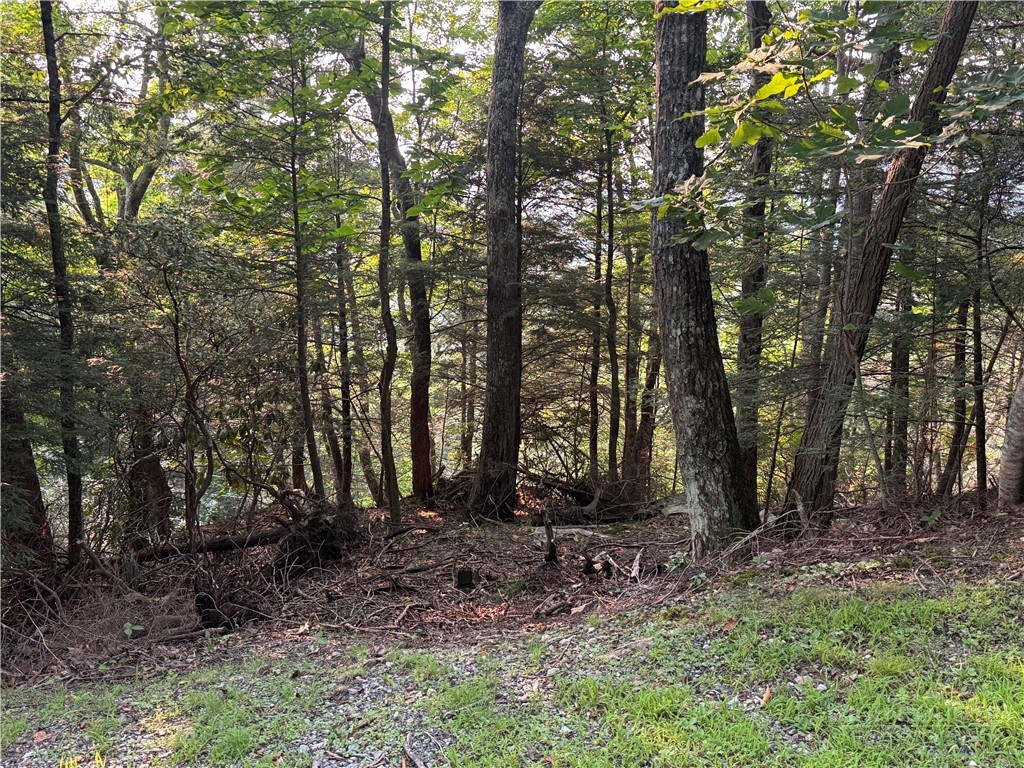 Lot 21 Boxwood Property Photo 2