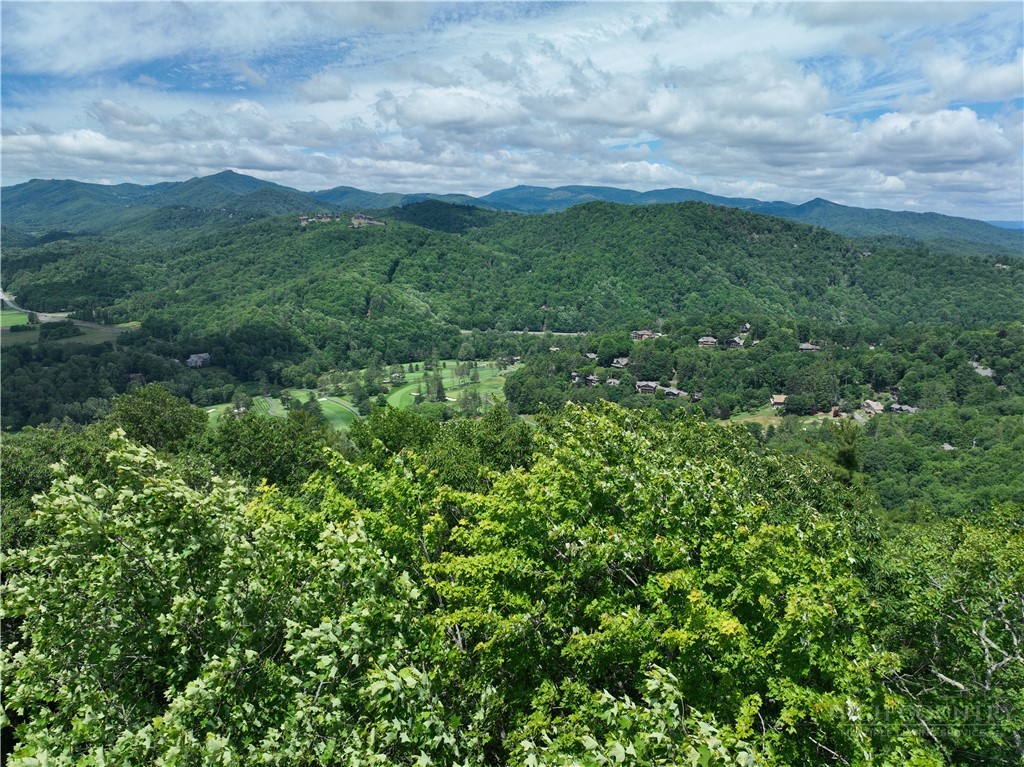 Lot 21 Boxwood Property Photo 3