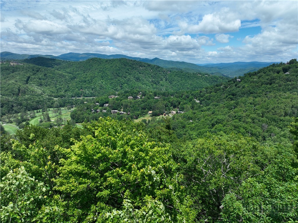 Lot 21 Boxwood Property Photo 4