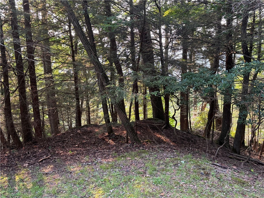 Lot 21 Boxwood Property Photo 6