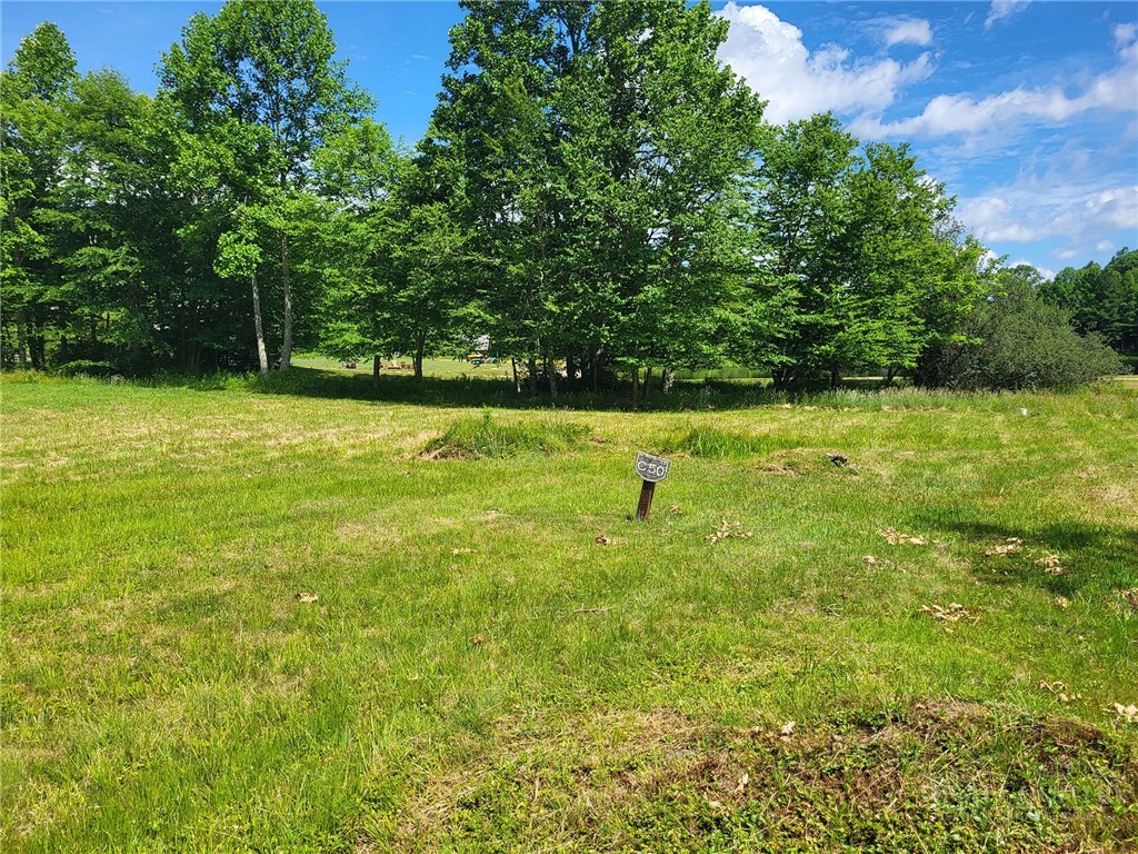 C50 Summer Day Drive Property Photo 1