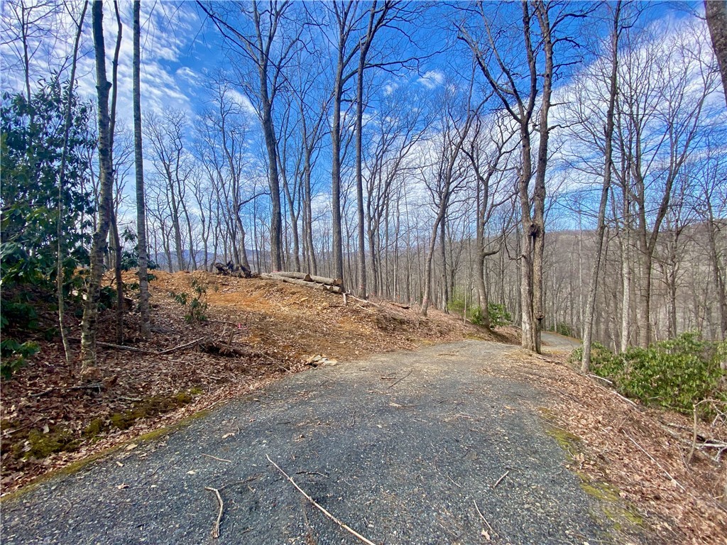 Tbd Old Chestnut Mountain Road Property Photo 1