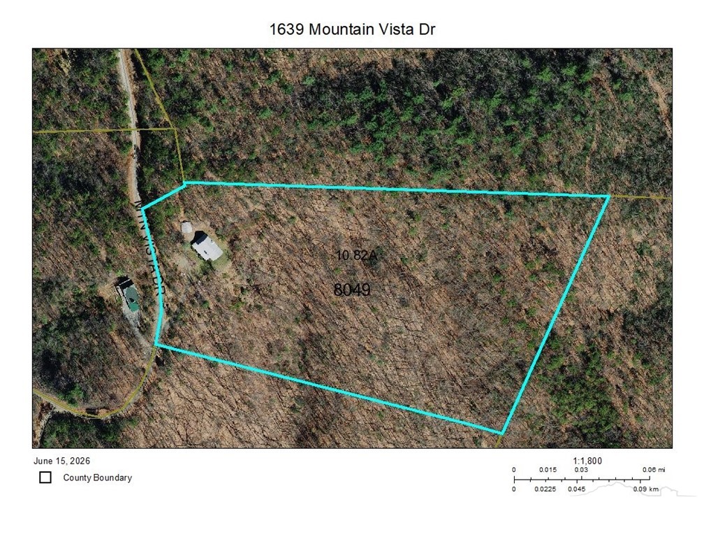 1639 Mountain Vista Drive Property Photo 46