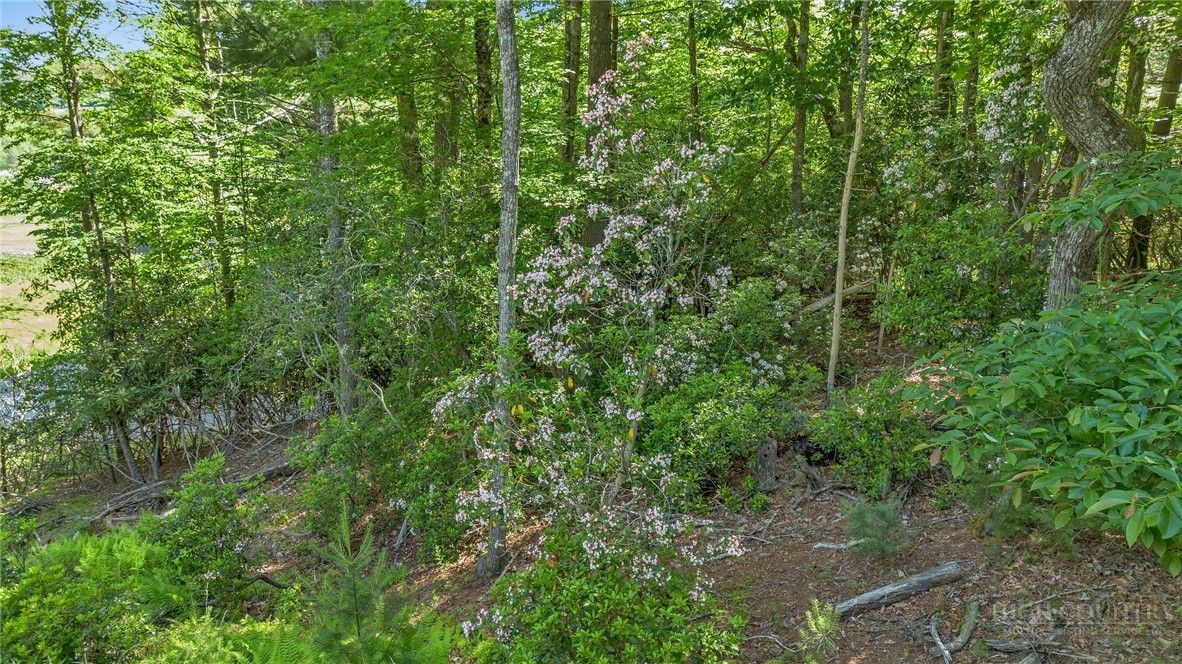 324 Hidden Spring Road Property Photo 42